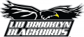 LIU-Brooklyn Blackbirds 2008-2018 Primary Logo Iron On Transfer