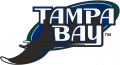 Tampa Bay Rays 2001-2007 Primary Logo Print Decal