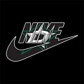 Dallas Stars Nike logo Iron On Transfer