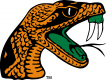 Florida A&M Rattlers