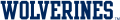 Michigan Wolverines 2000-Pres Wordmark Logo 02 Iron On Transfer
