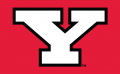 Youngstown State Penguins 1993-Pres Alternate Logo Iron On Transfer