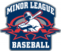 Minor League Baseball 1999-2007 Primary Logo Print Decal