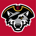 Erie SeaWolves 2013-Pres Cap Logo 3 Iron On Transfer