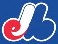 Expos logo Iron On Transfer