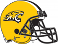 Towson Tigers 2004-2008 Helmet Logo Print Decal