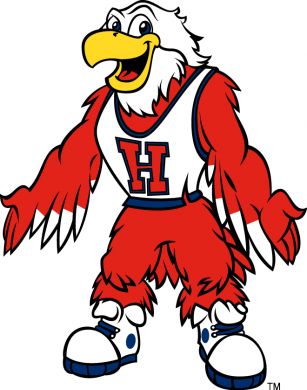 Hartford Hawks 1995-Pres Mascot Logo Print Decal