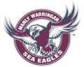 Manly-Warringah Sea Eagles 1998-Pres Primary Logo Print Decal