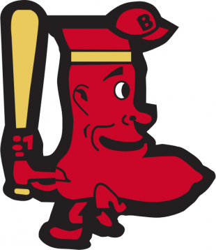 Boston Red Sox 1950-1959 Alternate Logo Iron On Transfer