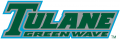 Tulane Green Wave 1998-2013 Wordmark Logo Iron On Transfer