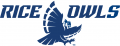 Rice Owls 2017-Pres Alternate Logo 02 Iron On Transfer