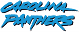 Carolina Panthers 1996-2011 Wordmark Logo Iron On Transfer