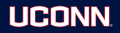 UConn Huskies 2013-Pres Wordmark Logo 05 Print Decal