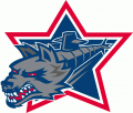 Hartford Wolf Pack 2013-Pres Secondary Logo Iron On Transfer