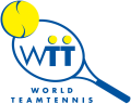 World TeamTennis 2000-2007 Primary Logo Print Decal
