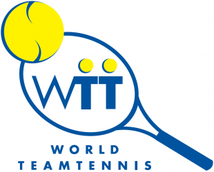 World TeamTennis 2000-2007 Primary Logo Print Decal