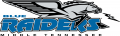 Middle Tennessee Blue Raiders 2007-Pres Alternate Logo Print Decal