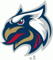 Grand Rapids Griffins 2011 Alternate Logo Print Decal