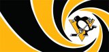 007 Pittsburgh Penguins logo Iron On Transfer