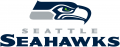Seattle Seahawks 2012-Pres Wordmark Logo Iron On Transfer
