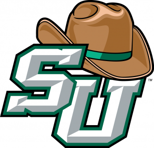 Stetson Hatters 2008-2017 Primary Logo Iron On Transfer