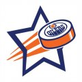 Edmonton Oilers Hockey Goal Star logo Print Decal
