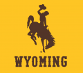 Wyoming Cowboys 2013-Pres Alternate Logo 02 Iron On Transfer