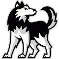 Northern Illinois Huskies 2001-Pres Alternate Logo 01 Print Decal
