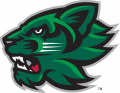 Binghamton Bearcats 2001-Pres Secondary Logo Iron On Transfer