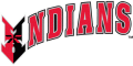 Indianapolis Indians 1998-Pres Wordmark Logo Print Decal