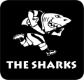 Sharks 2000-Pres Alternate Logo Print Decal