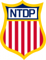 USA Hockey National Team Development ProgramNTDP 2015 16-Pres Primary Logo Iron On Transfer