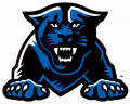 Georgia State Panthers 2009-2013 Alternate Logo Iron On Transfer