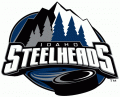 Idaho Steelheads 2011 12-Pres Alternate Logo Print Decal