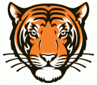 Princeton Tigers 2003-Pres Alternate Logo 01 Print Decal