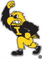 Iowa Hawkeyes 2002-Pres Mascot Logo Iron On Transfer