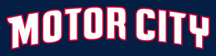 Detroit Pistons 2013-2014 Pres Wordmark Logo Iron On Transfer