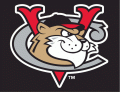 Tri-City Valleycats 2002-Pres Cap Logo Print Decal