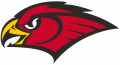 Atlanta Hawks 1998-2007 Secondary Logo Print Decal