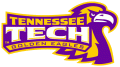 Tennessee Tech Golden Eagles 2006-Pres Alternate Logo 03 Print Decal