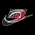 Carolina Hurricanes Nike logo Print Decal