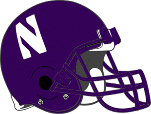 Northwestern Wildcats 1993 Helmet Iron On Transfer