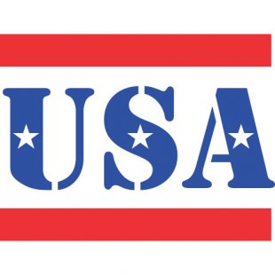 USA Logo 08 Print Decal