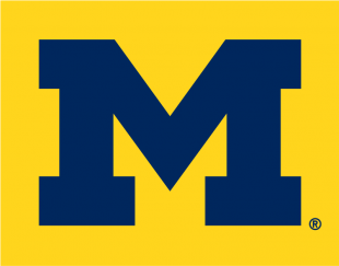 Michigan Wolverines 1996-Pres Alternate Logo 02 Print Decal