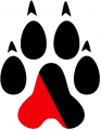 Northeastern Huskies 2007-Pres Alternate Logo 01 Print Decal