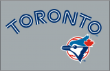 Toronto Blue Jays 1992-1996 Jersey Logo Iron On Transfer