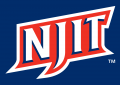 NJIT Highlanders 2006-Pres Wordmark Logo 23 Print Decal