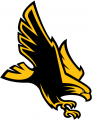 Southern Miss Golden Eagles 2003-Pres Alternate Logo Print Decal