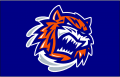 Bridgeport Sound Tigers 2010-Pres Jersey Logo Print Decal