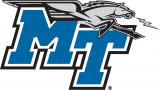 Middle Tennessee Blue Raiders 2007-Pres Primary Logo Iron On Transfer